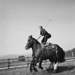 Heron White CUNNING STUNT Shropshire 1994