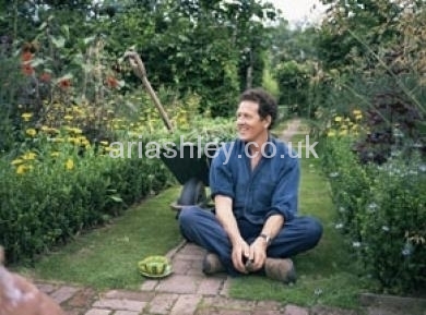 MONTY DON 10