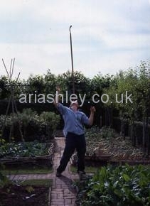 MONTY DON 12