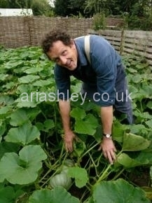 MONTY DON 14