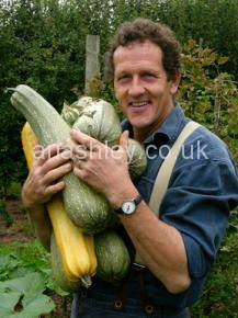 MONTY DON 15