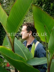 MONTY DON 17