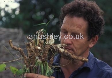 MONTY DON 22