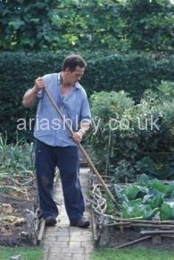 MONTY DON 27