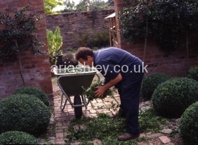 MONTY DON 3