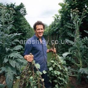 MONTY DON 6