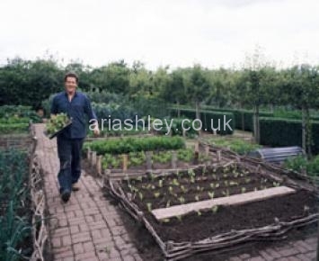 MONTY DON 8