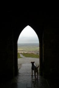 Willy at the Tor