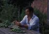 MONTY DON 20