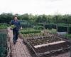 MONTY DON 8